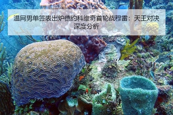 wen-wang-nan-dan-qian-biao-chu-lu-de-yue-ke-wei-qi-shou-lun-zhan-mu-lei-tian-wang-dui-jue-shen-du-fen-xi-2-562.jpg