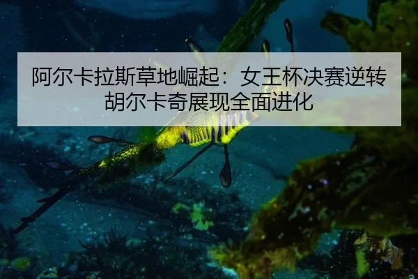 阿尔卡拉斯草地崛起：女王杯决赛逆转胡尔卡奇展现全面进化